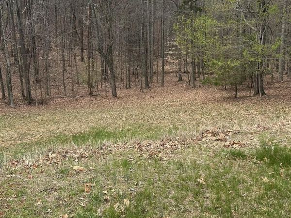 Lot 2 Gilfield DR , Forest, VA 24551
