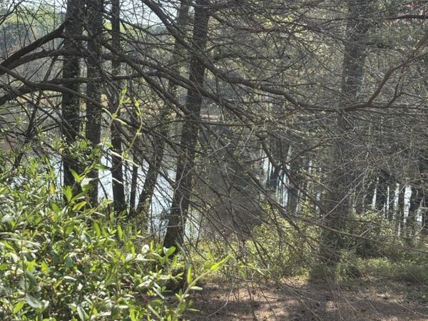 1560 Stoneleigh Hill Road, Lithonia, GA 30058