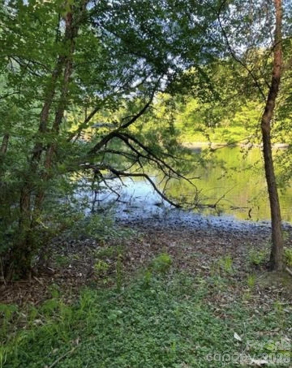 1352 Sir Edward Court, Catawba, NC 28609 Main Photo