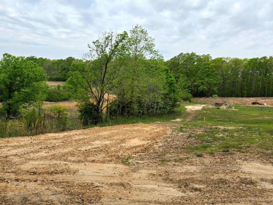 Property Image 18