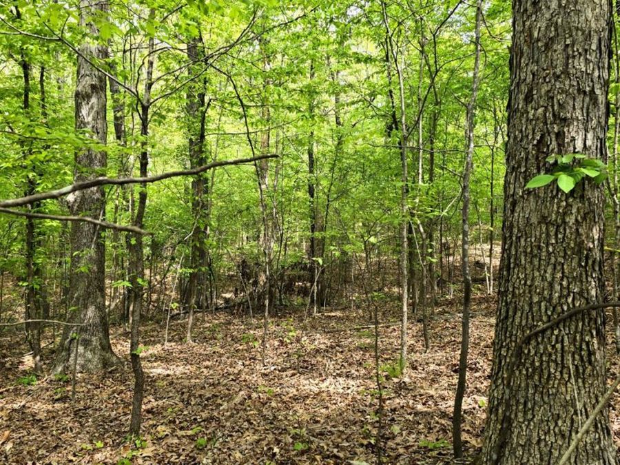 Property Image 10