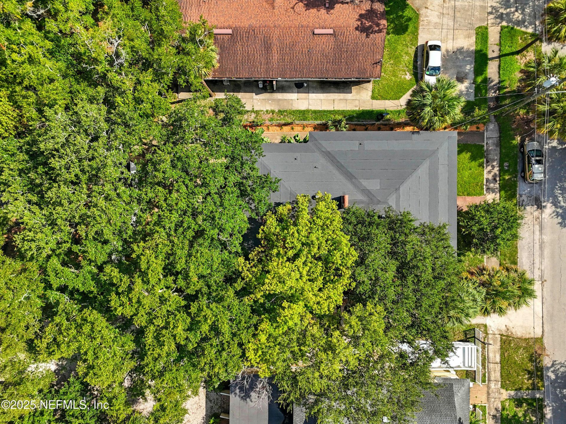 1445 Flagler Avenue, Jacksonville, FL 32207 Photo