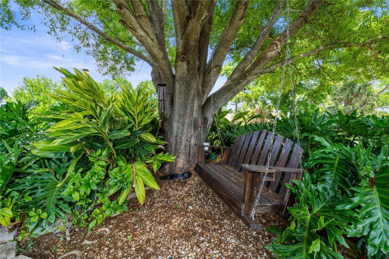 2520 Gomaz Way S, Saint Petersburg, FL 33712 Photo