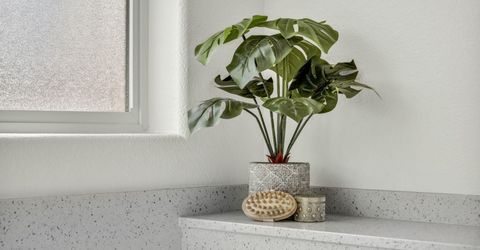 11638 Vista Park Drive, Spanish Springs, NV 89441 Photo