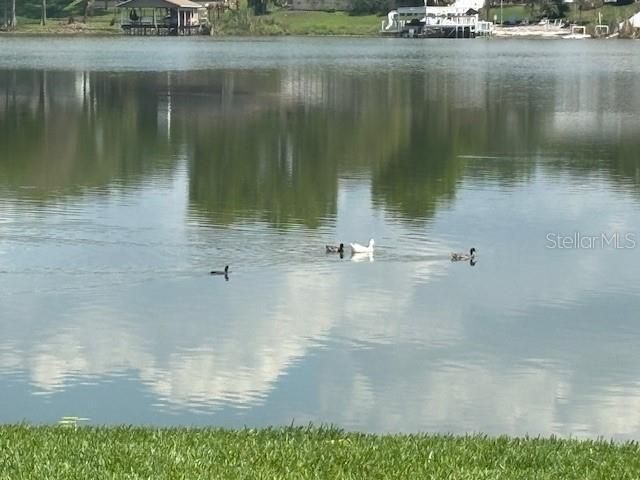 528 Orange Drive , Unit 26, Altamonte Springs, FL 32701 Photo