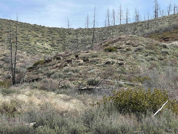 TBD Lester Creek Rd, Pine, ID 83647