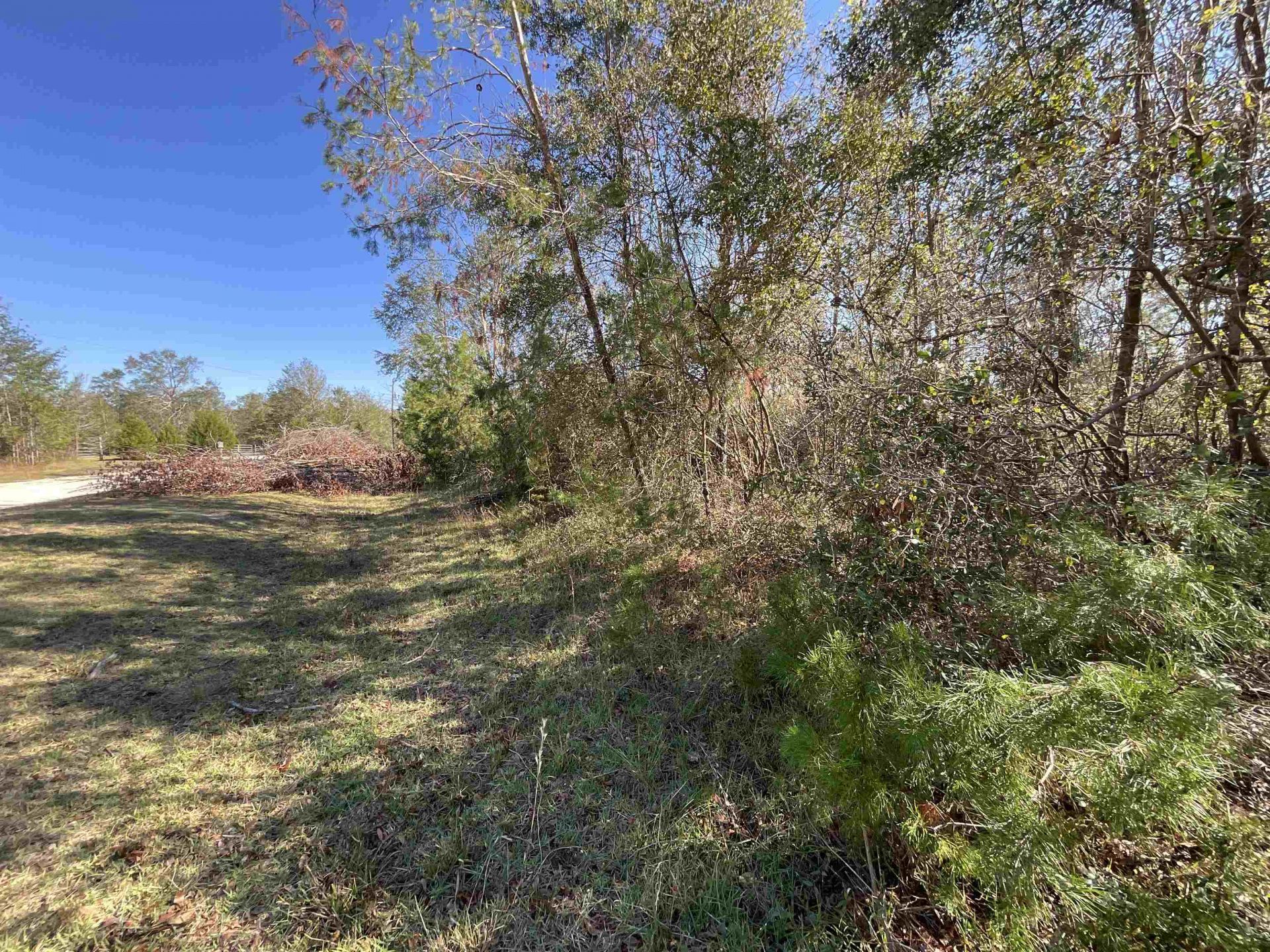Vacant SE Blackhawk Drive, Lee, FL 32059 Photo