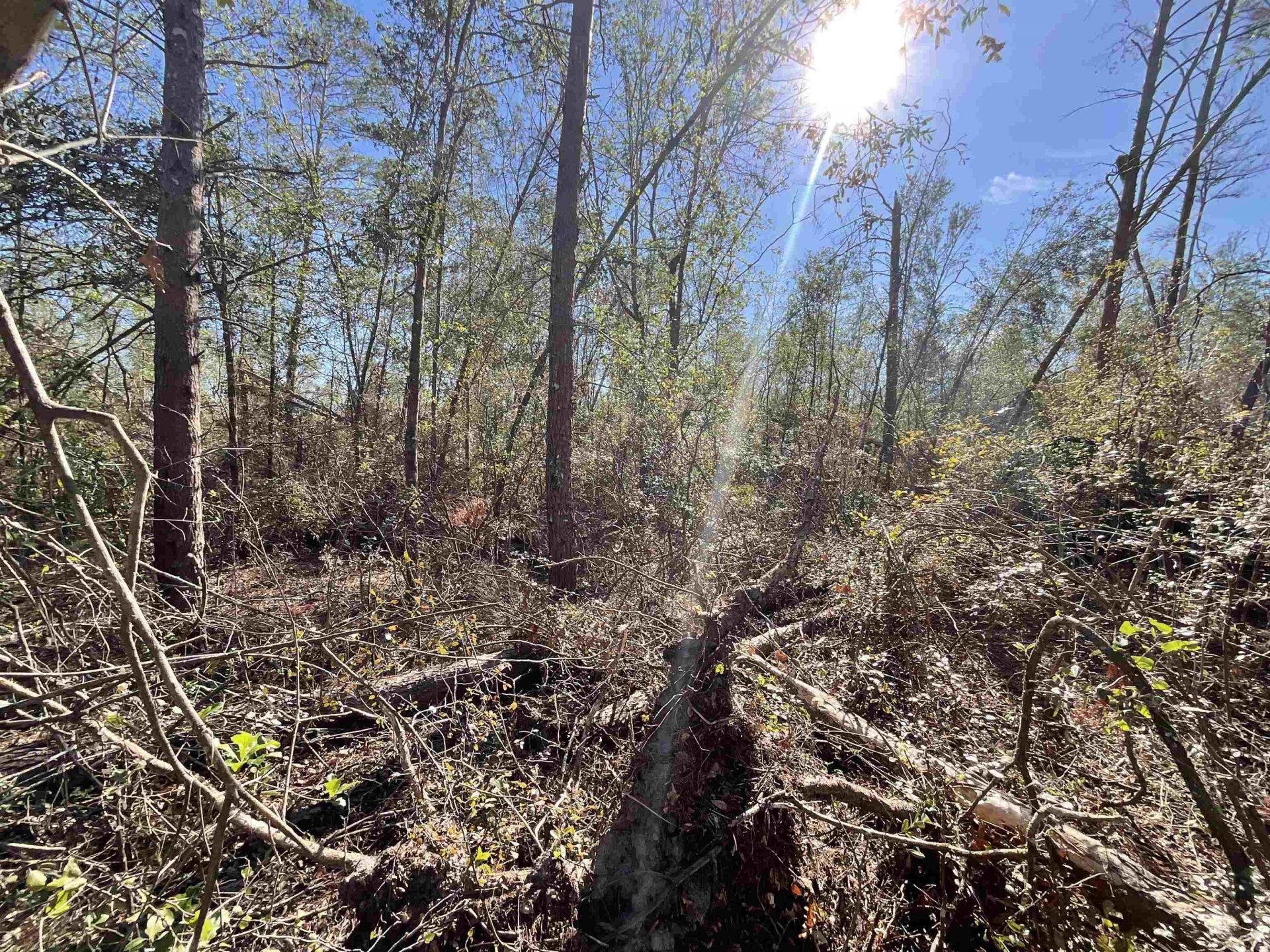 Vacant SE Blackhawk Drive, Lee, FL 32059 Photo