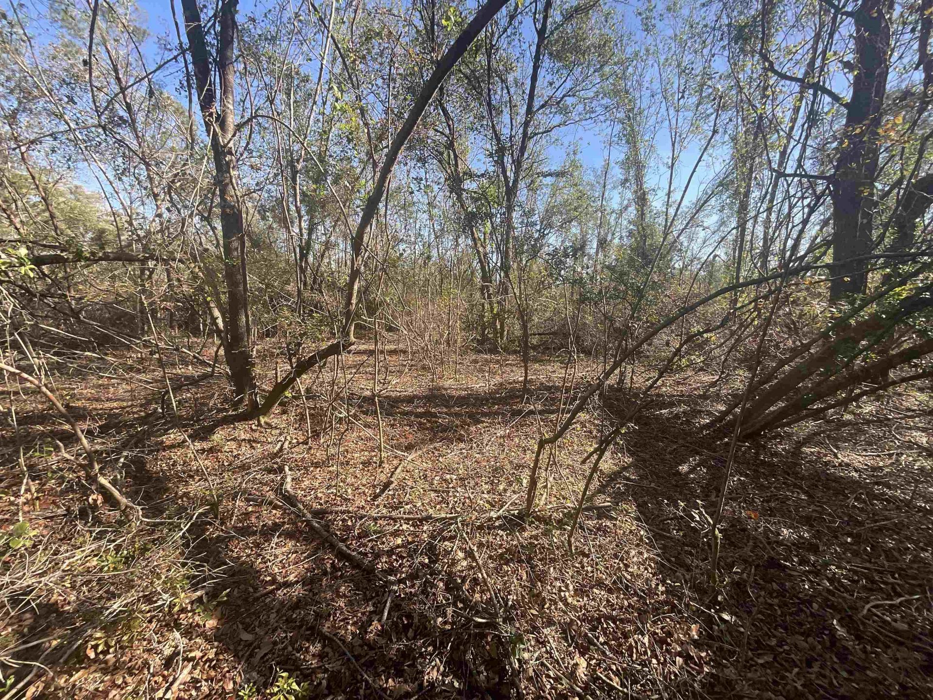 Vacant SE Blackhawk Drive, Lee, FL 32059 Photo