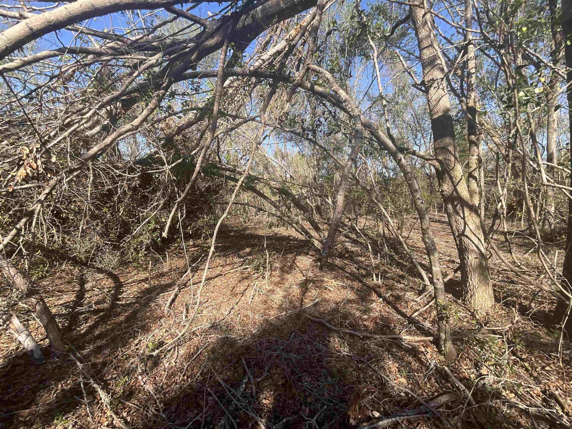 Vacant SE Blackhawk Drive, Lee, FL 32059 Photo