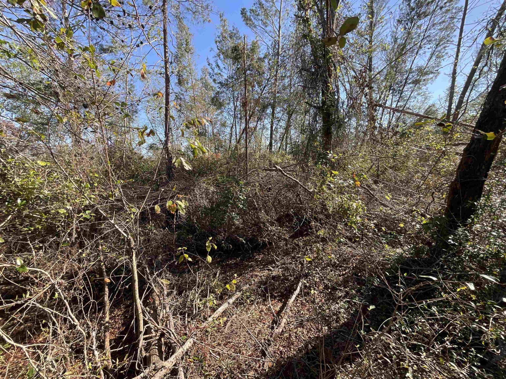 Vacant SE Blackhawk Drive, Lee, FL 32059 Photo