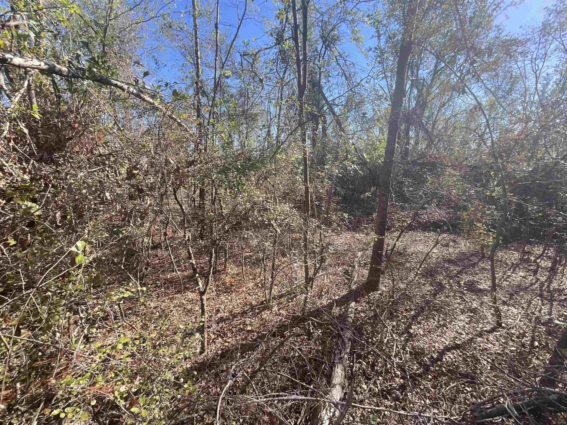 Vacant SE Blackhawk Drive, Lee, FL 32059 Photo