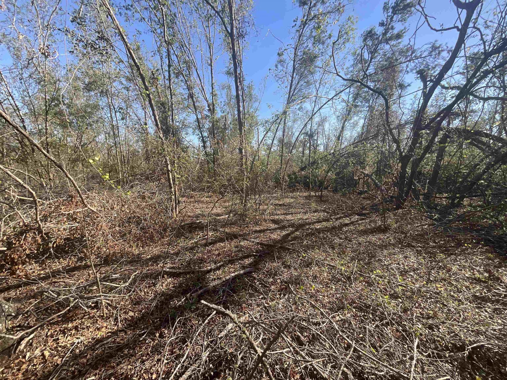 Vacant SE Blackhawk Drive, Lee, FL 32059 Photo