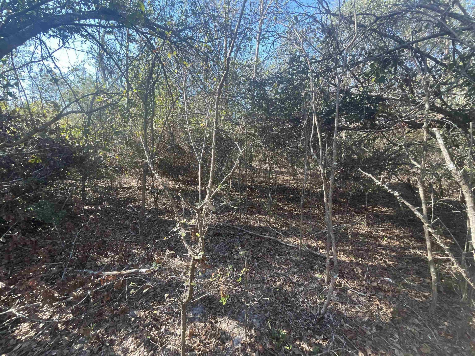 Vacant SE Blackhawk Drive, Lee, FL 32059 Photo