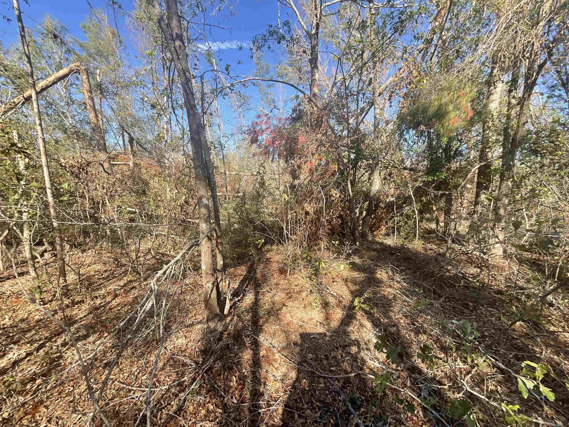 Vacant SE Blackhawk Drive, Lee, FL 32059 Photo
