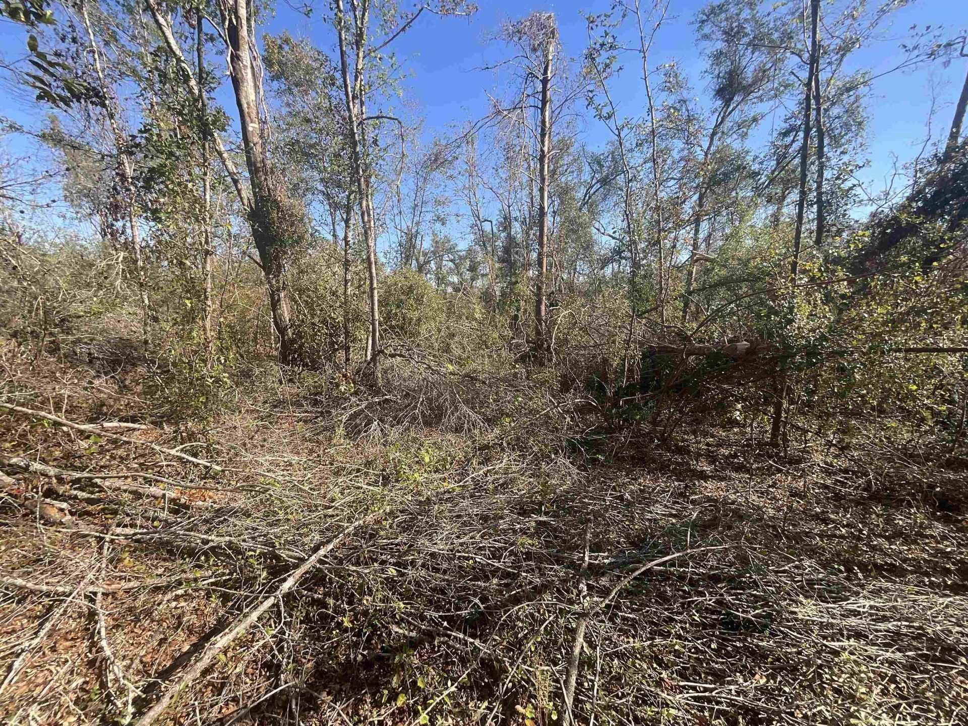 Vacant SE Blackhawk Drive, Lee, FL 32059 Photo