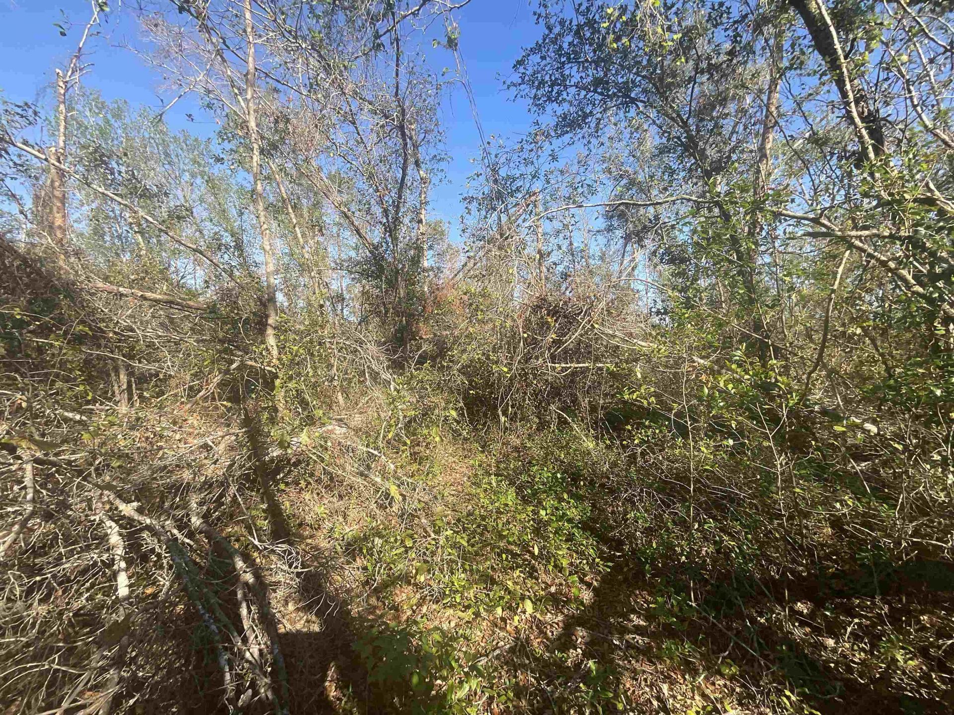 Vacant SE Blackhawk Drive, Lee, FL 32059 Photo