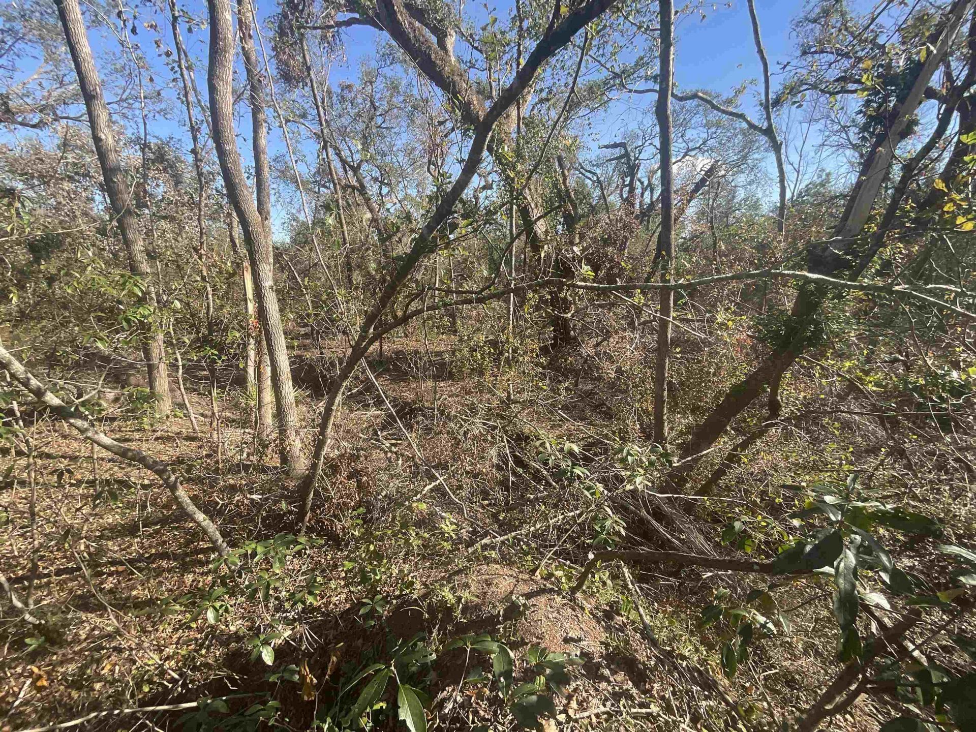 Vacant SE Blackhawk Drive, Lee, FL 32059 Photo