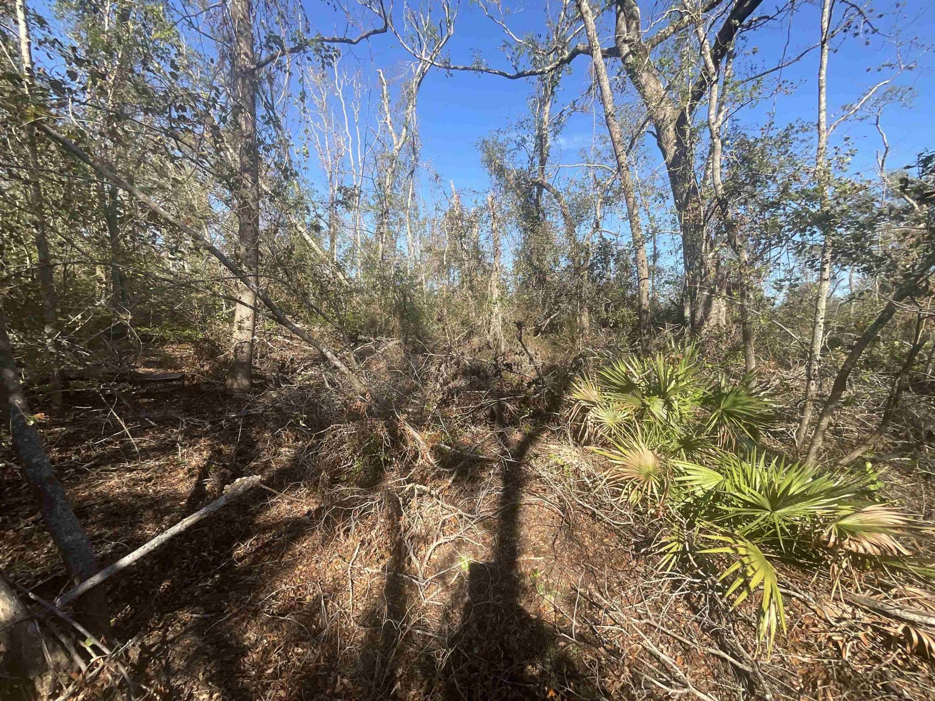 Vacant SE Blackhawk Drive, Lee, FL 32059 Photo