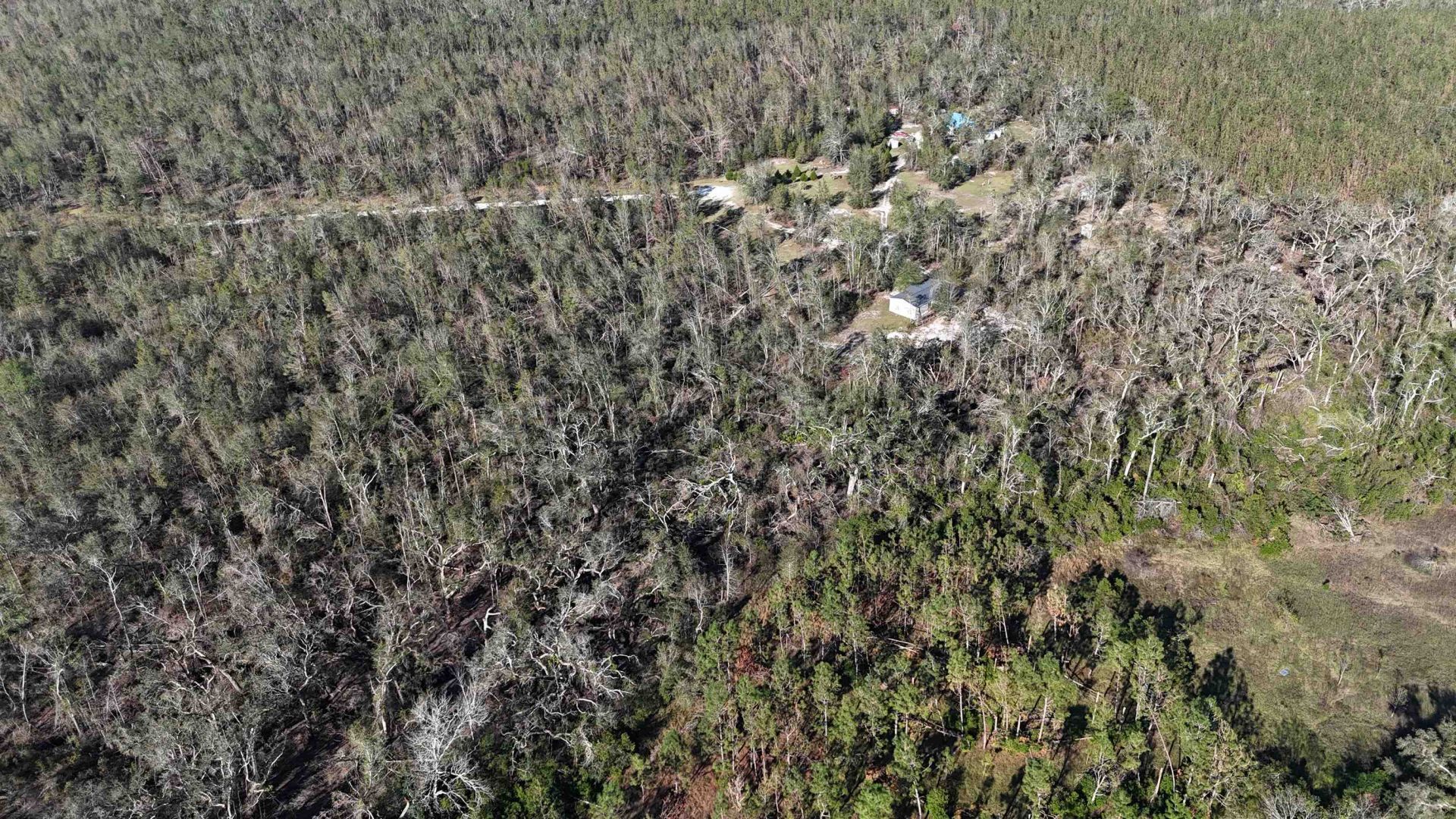 Vacant SE Blackhawk Drive, Lee, FL 32059 Photo