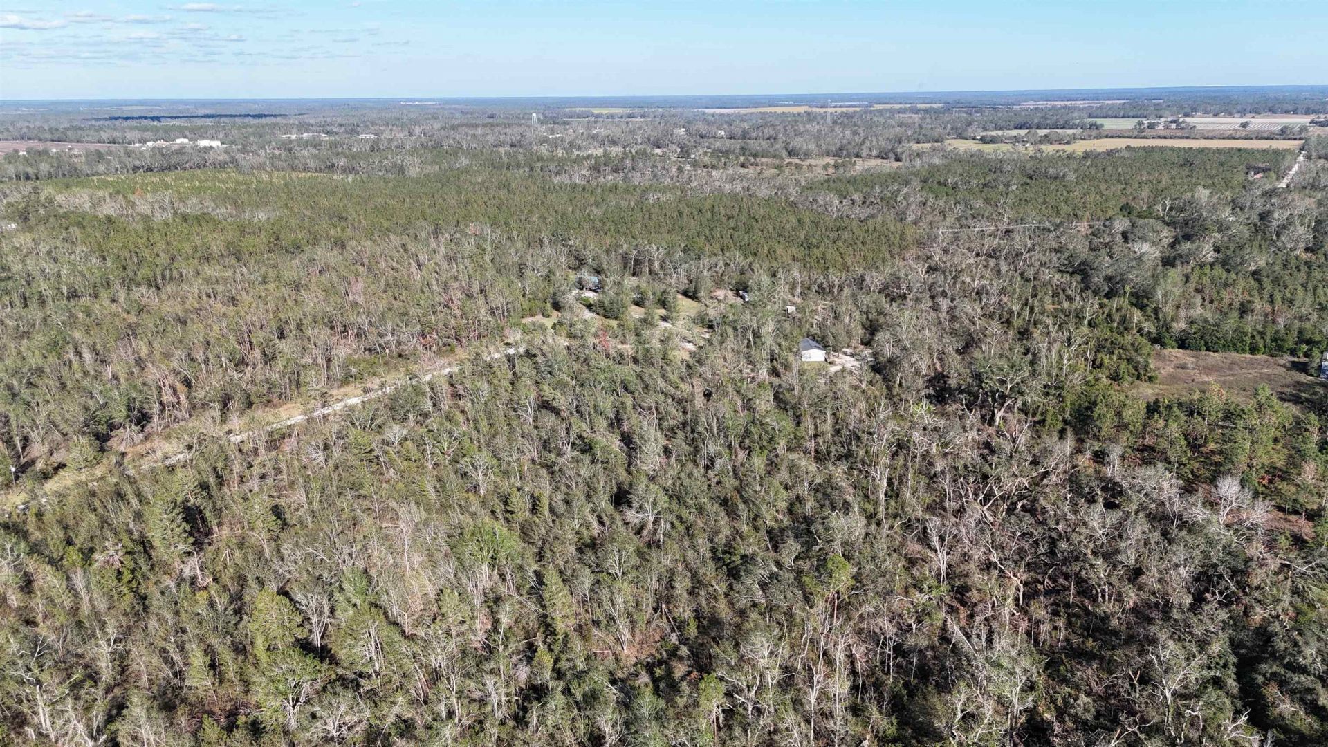 Vacant SE Blackhawk Drive, Lee, FL 32059 Photo