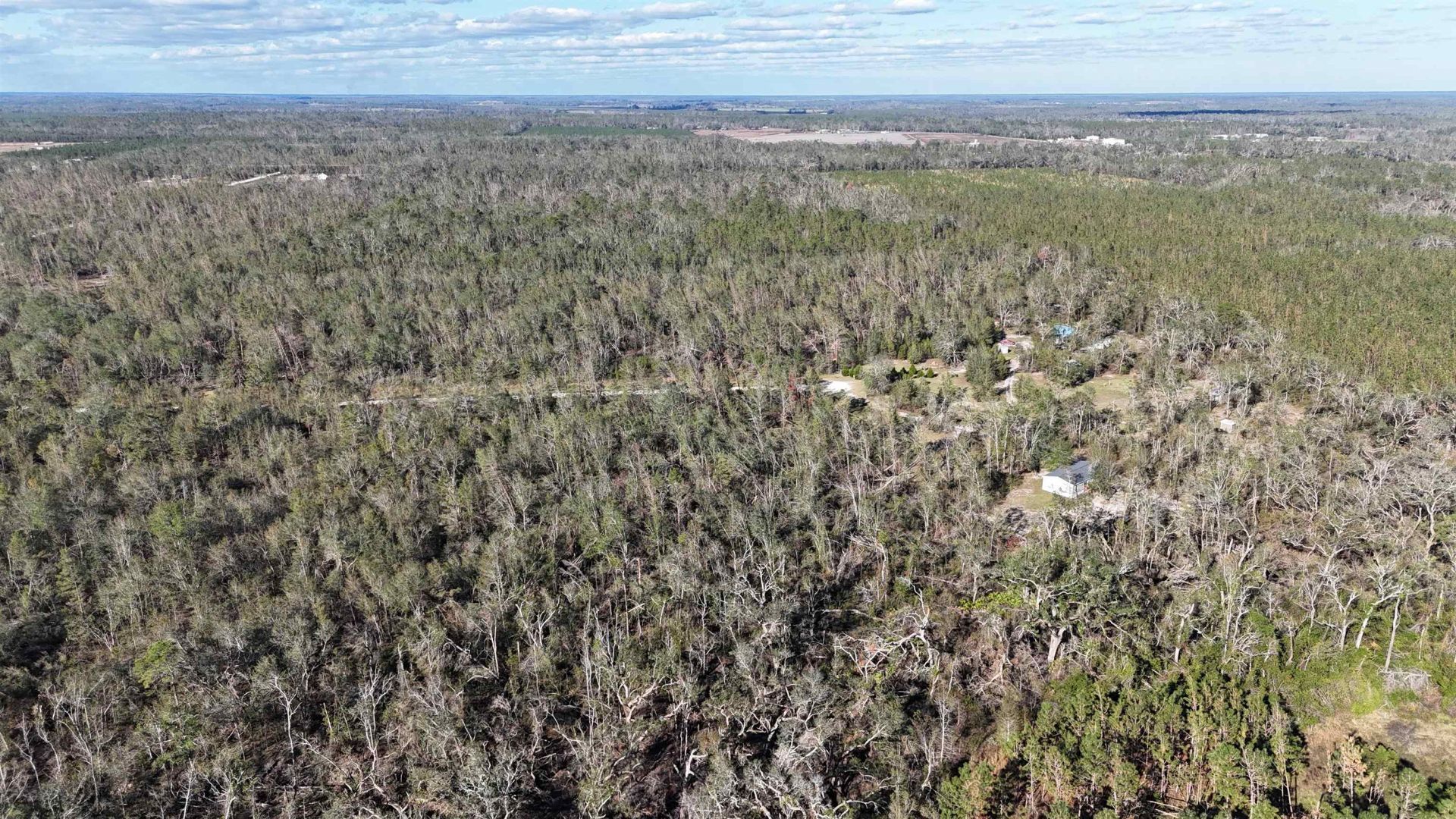 Vacant SE Blackhawk Drive, Lee, FL 32059 Photo