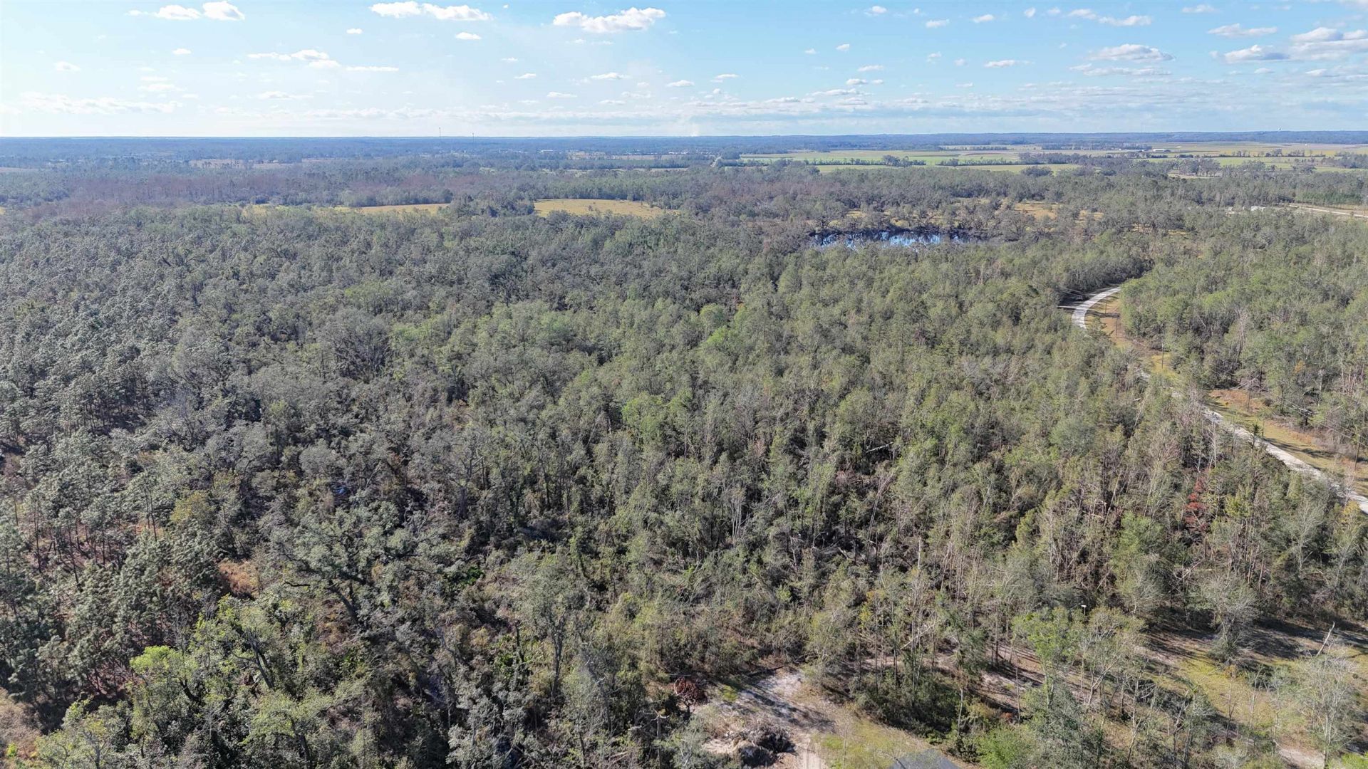 Vacant SE Blackhawk Drive, Lee, FL 32059 Photo