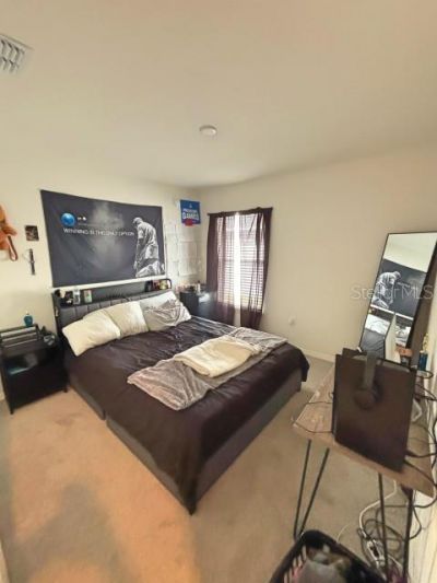 737 Daphne Drive, Polk City, FL 33868 Photo