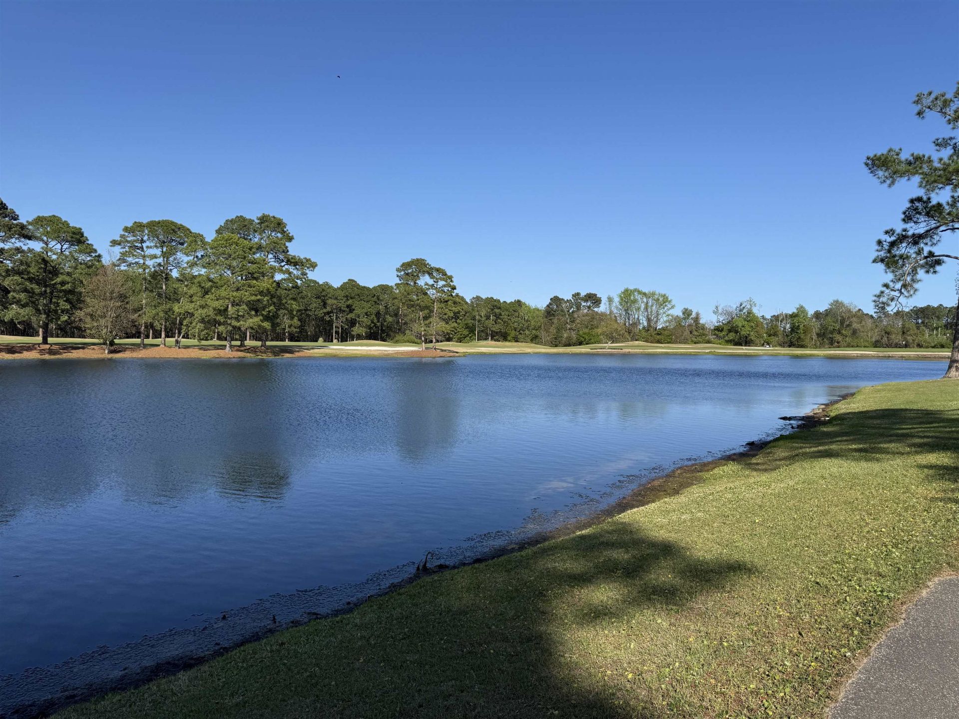 4802 Southern Trail Photo 47