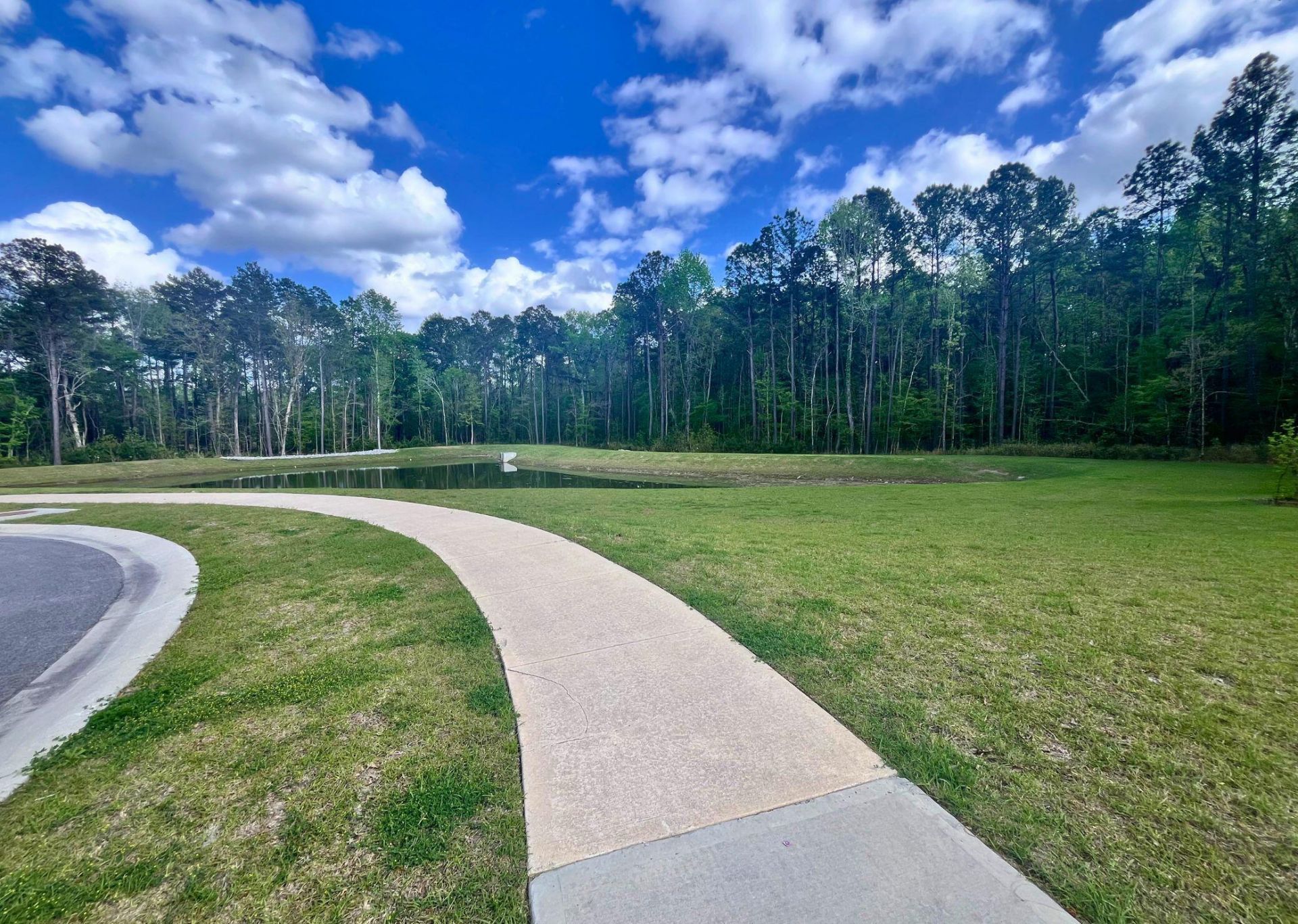 529 Shady Maple Street Photo 27