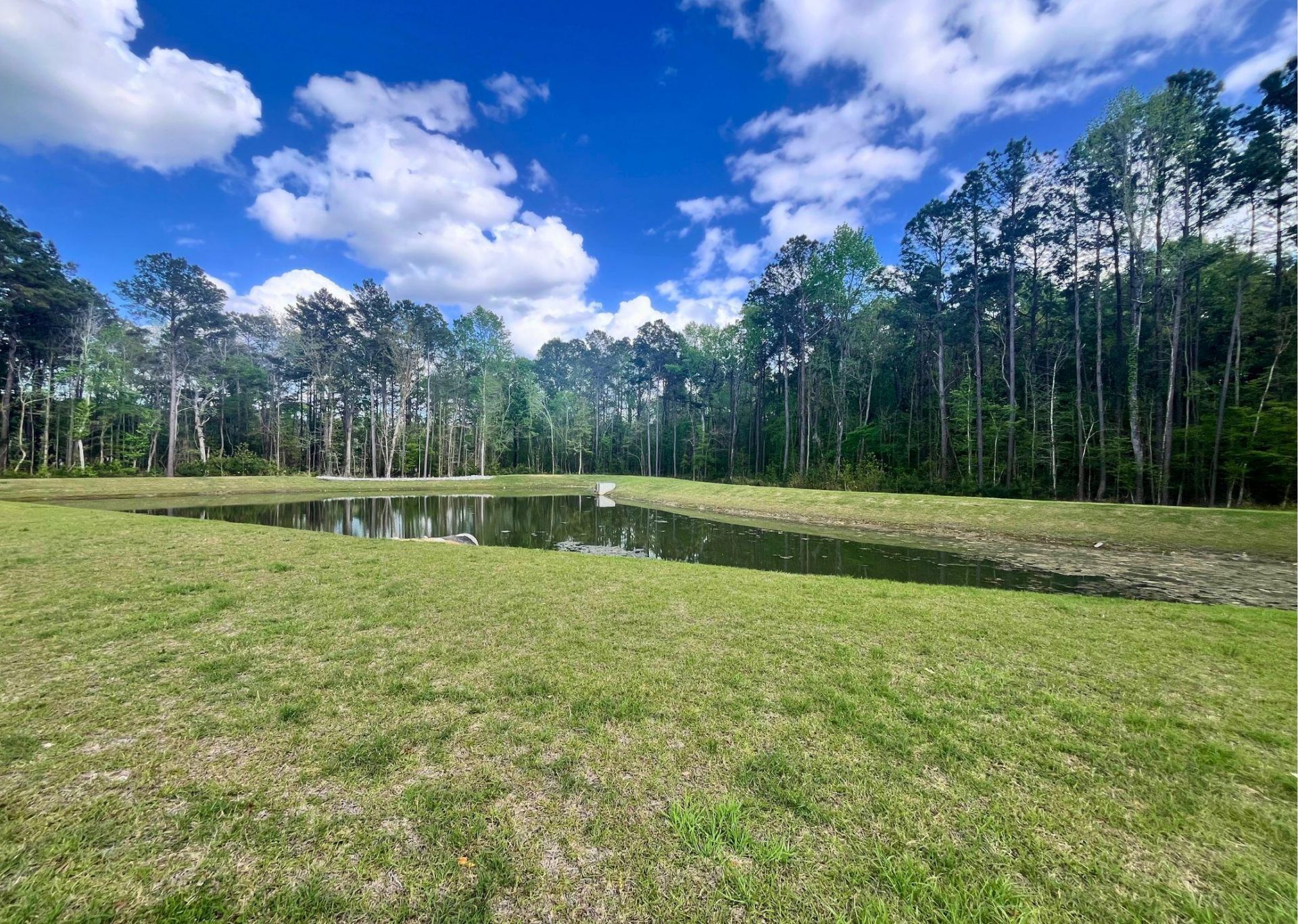 529 Shady Maple Street Photo 28