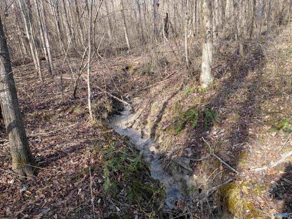 4960 Newburg Road, Haleyville, AL 35565