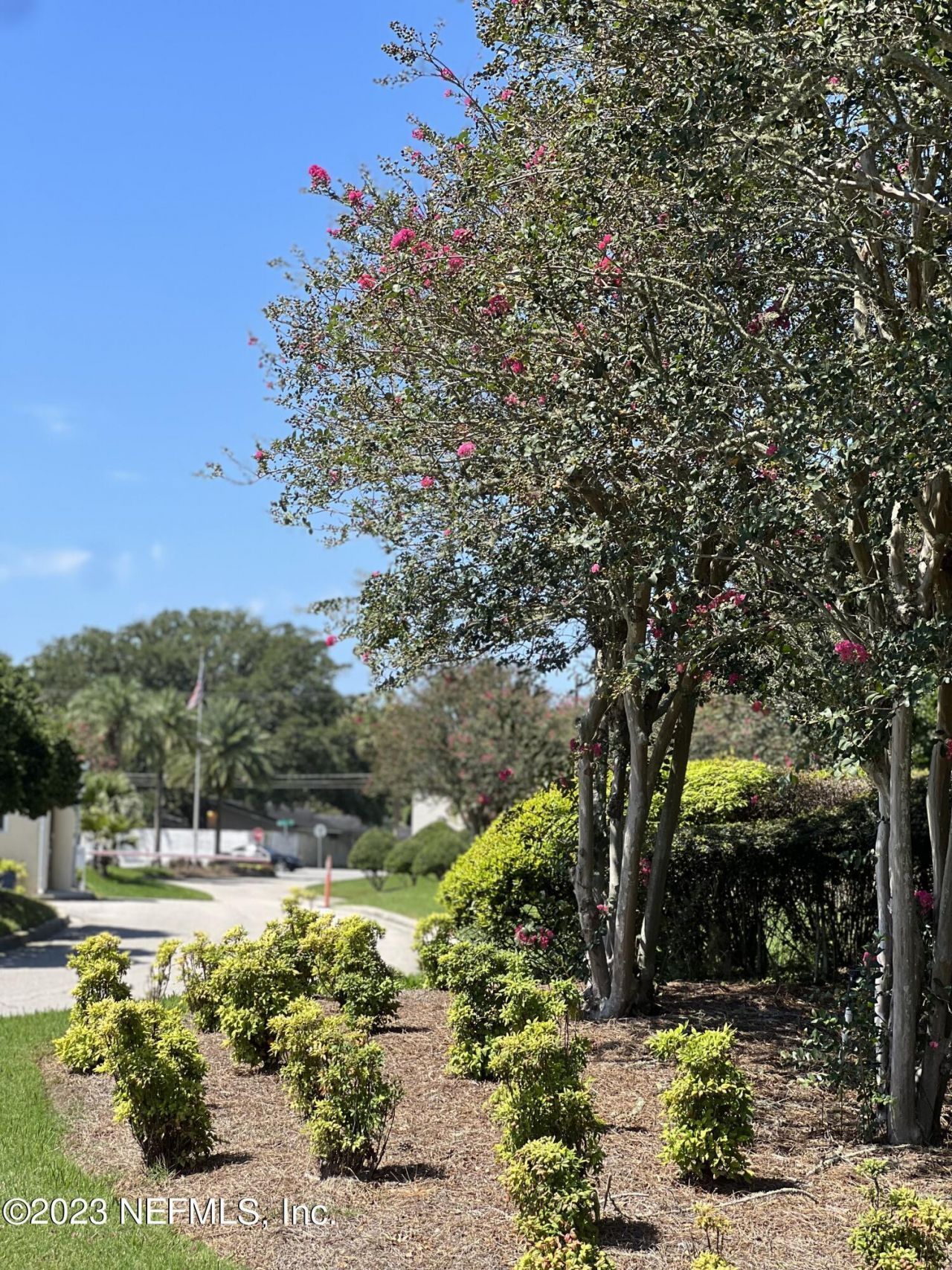 3809 La Vista Circle, Unit 231, Jacksonville, FL 32217 Photo