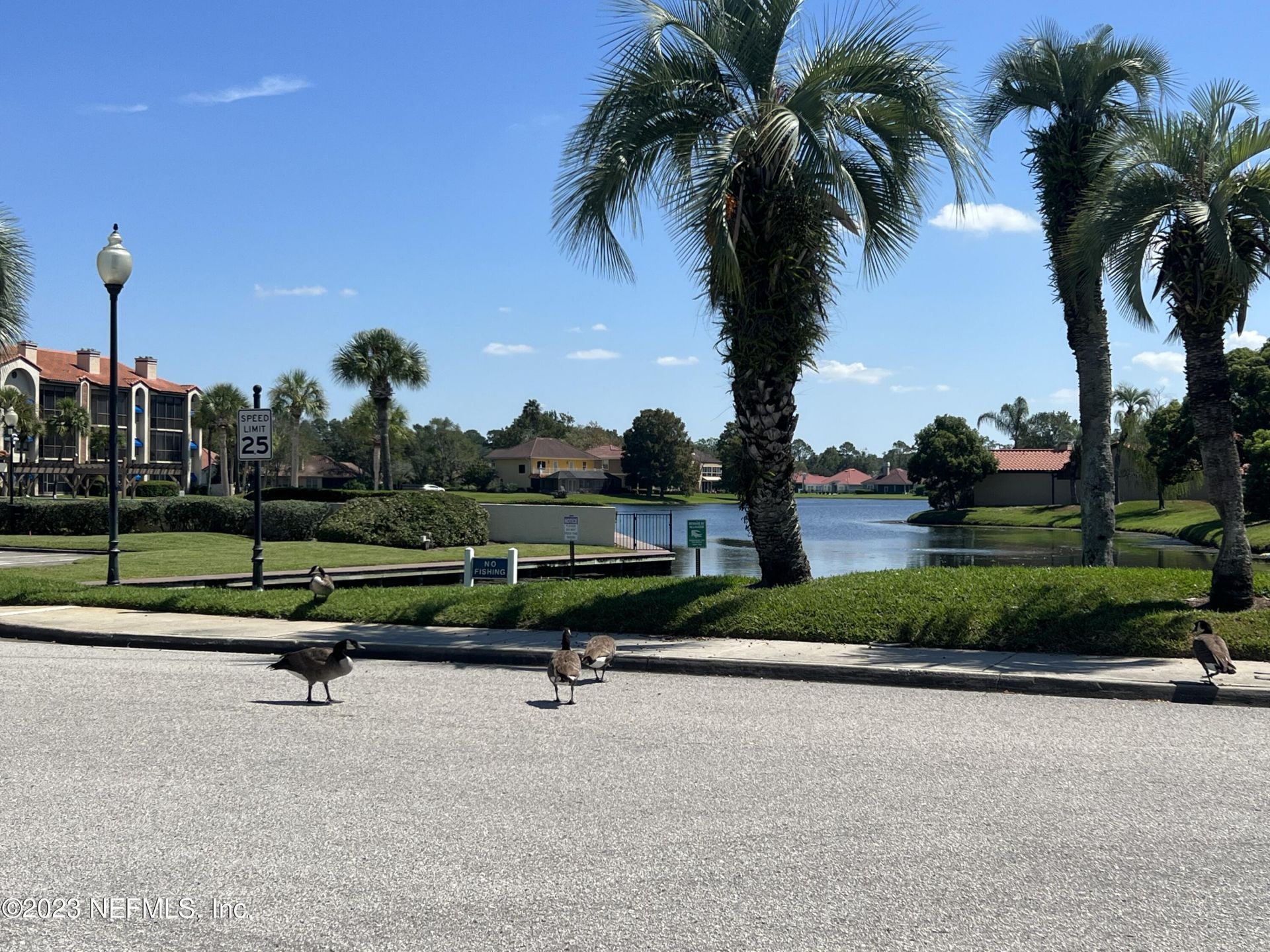 3809 La Vista Circle, Unit 231, Jacksonville, FL 32217 Photo