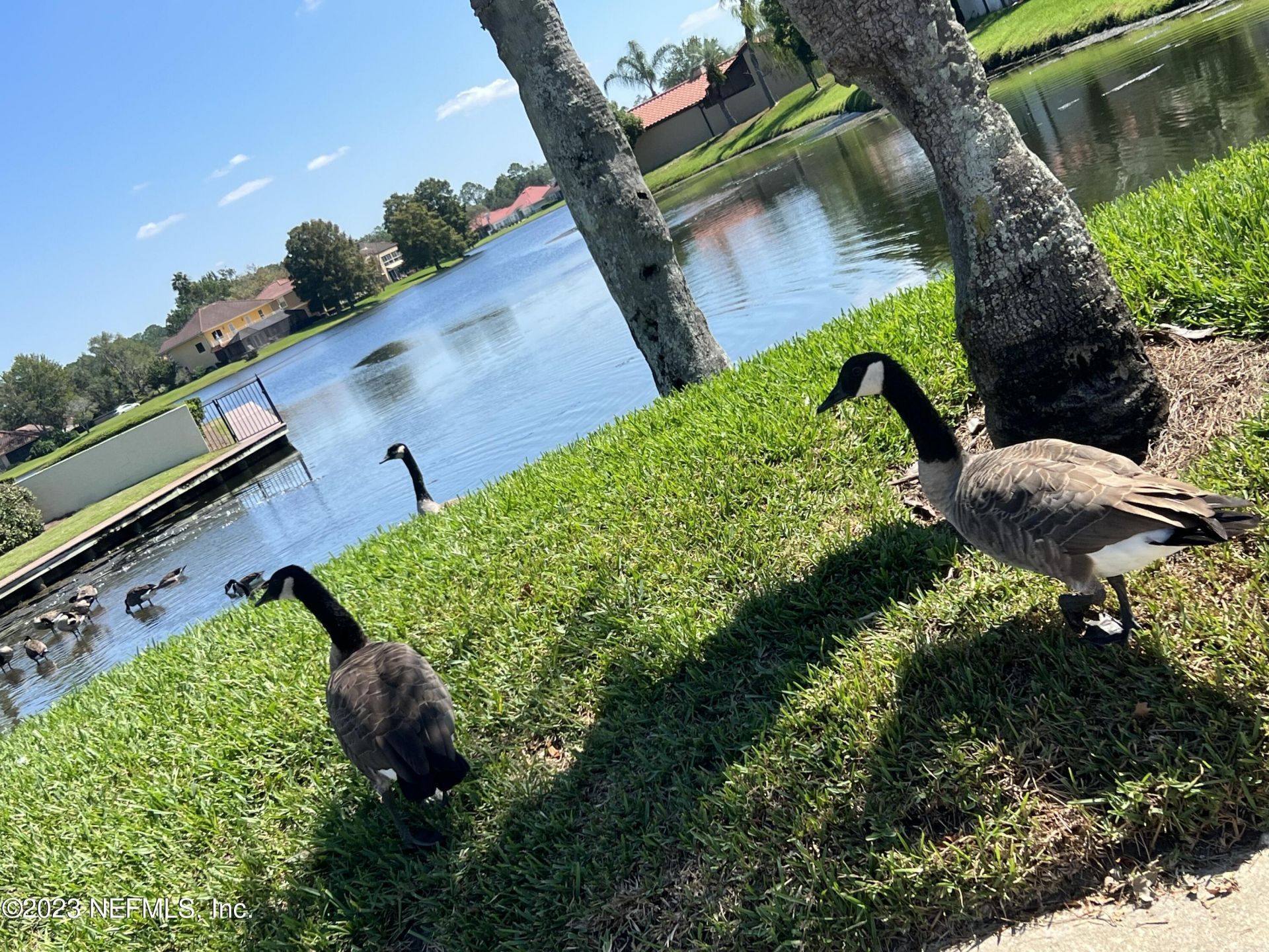 3809 La Vista Circle, Unit 231, Jacksonville, FL 32217 Photo