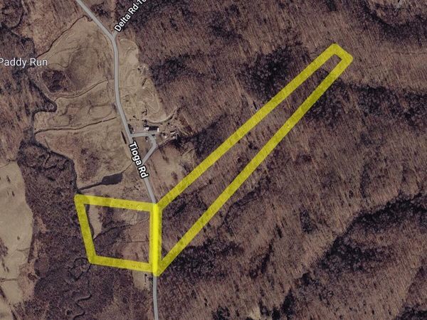 4043 Tioga Rd, Tioga, WV 26691