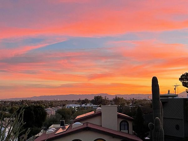 1334 E LAS PALMARITAS Drive, Phoenix, AZ 85020