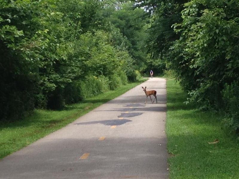 387 W 2nd Avenue , Columbus, OH 43201 Photo 32