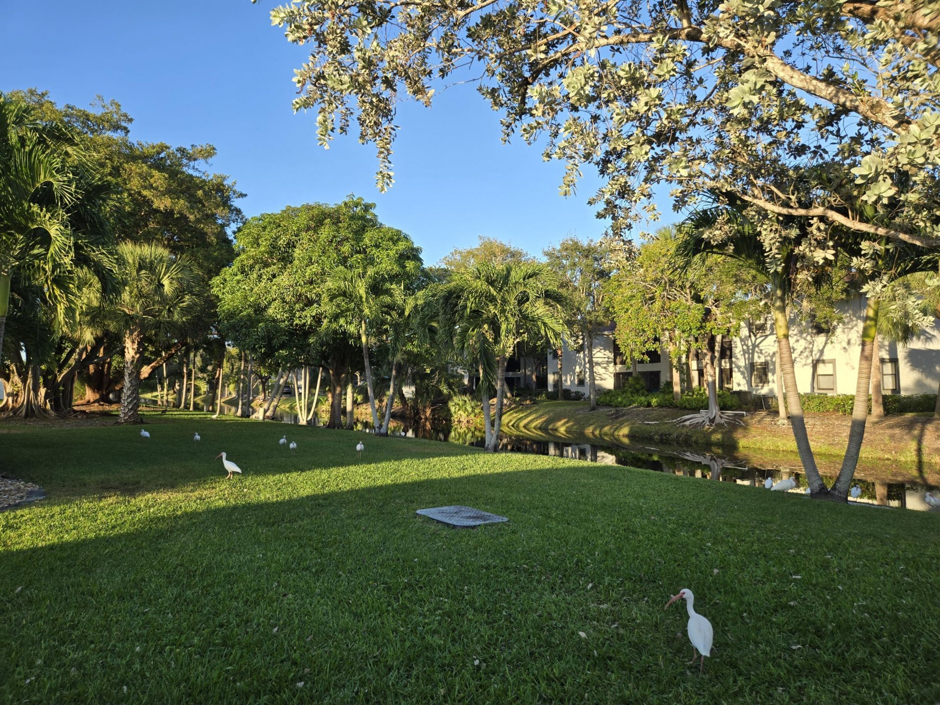 1320 NW 82nd Avenue, Plantation, FL 33322 Photo