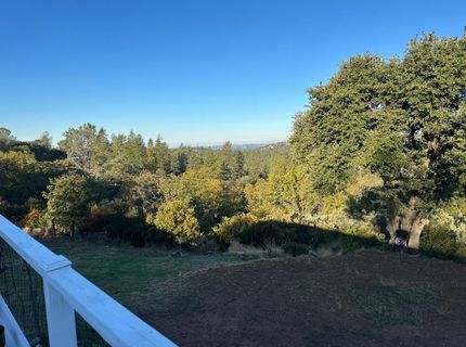 20210 Canyon View Rd, Jackson, CA 95642 Photo