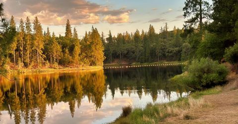 20210 Canyon View Rd, Jackson, CA 95642 Photo