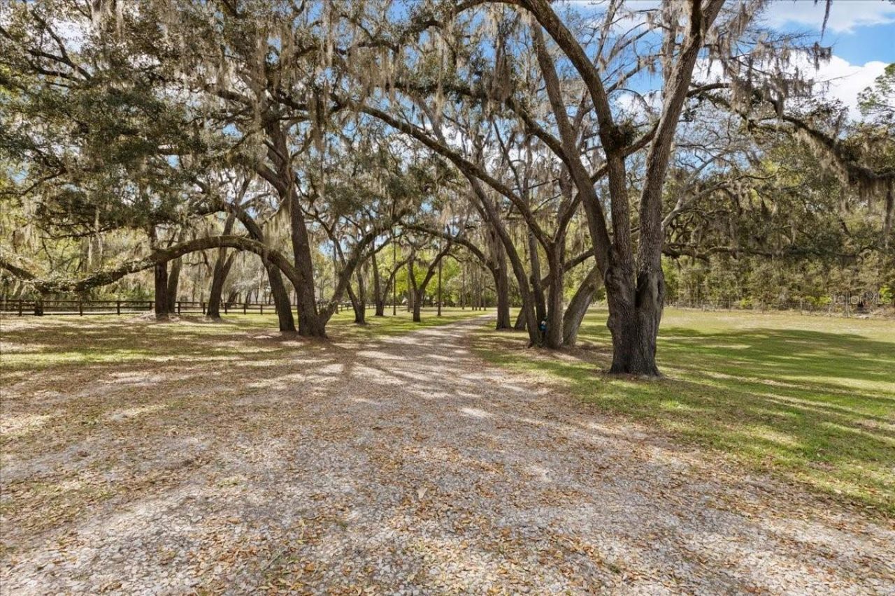 2600 SE 48th Avenue, Trenton, FL 32693 Photo