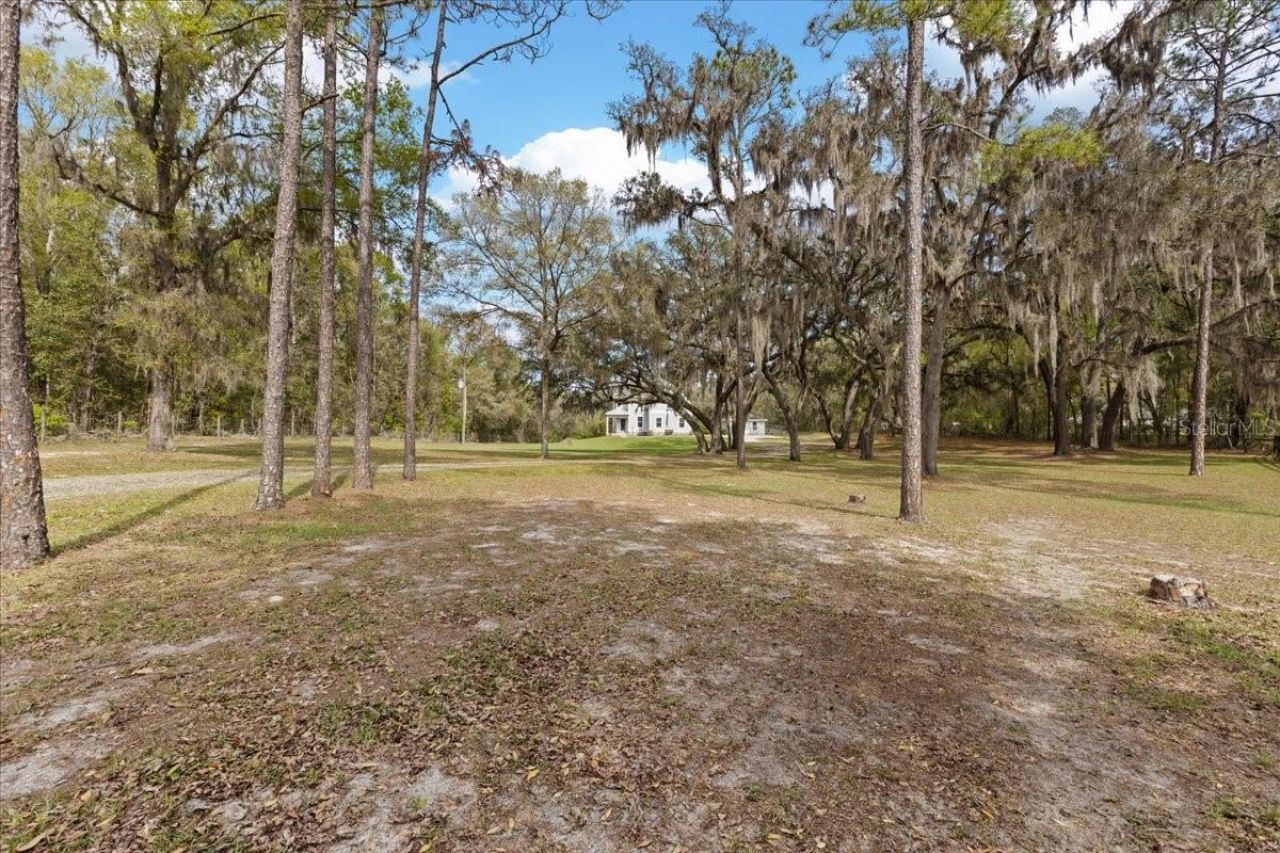 2600 SE 48th Avenue, Trenton, FL 32693 Photo