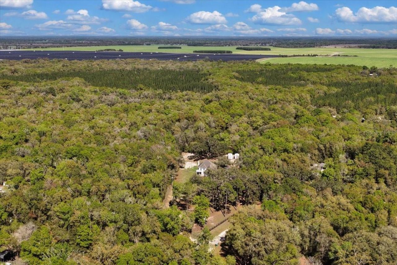 2600 SE 48th Avenue, Trenton, FL 32693 Photo