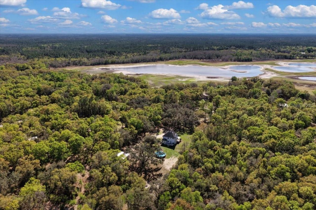 2600 SE 48th Avenue, Trenton, FL 32693 Photo