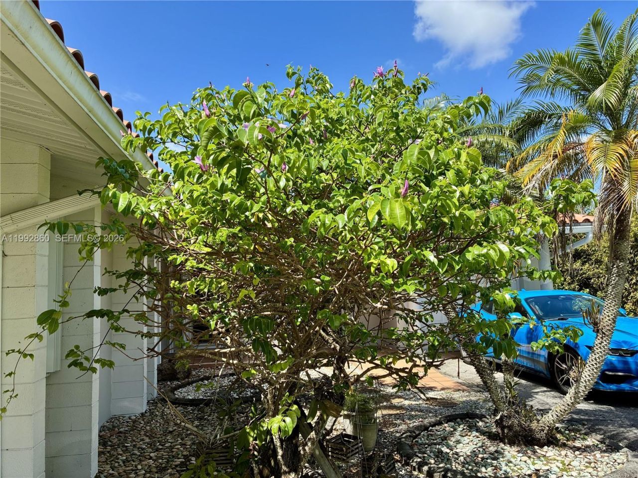 20020 Bel Aire Dr, Cutler Bay, FL 33189 Photo