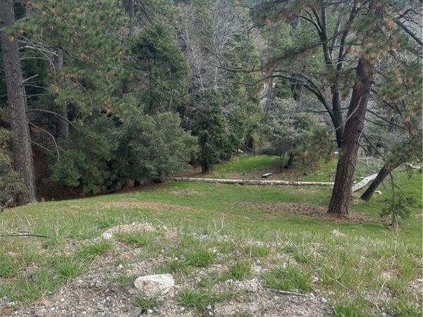 0 Fern Canyon, Cedarpines Park, CA 92322