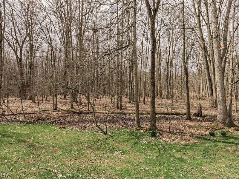 3436 Teal Court, Aurora, OH 44202 Photo 44