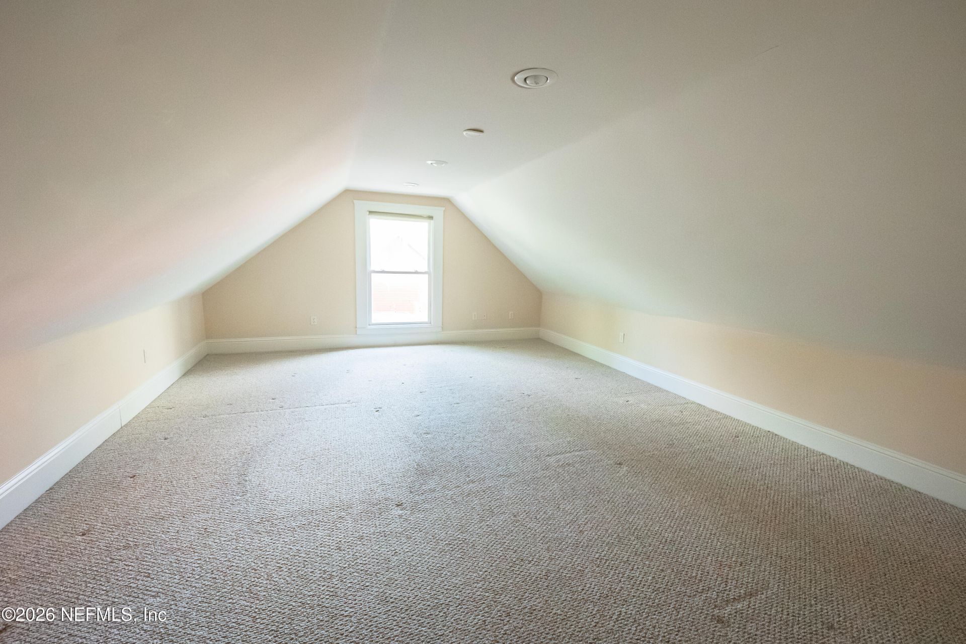 1224 N Market Street, Jacksonville, FL 32206 Photo