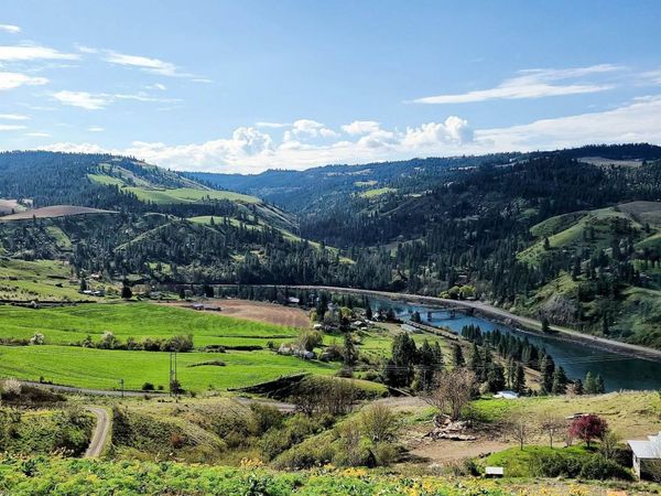 36171 River Rd, Lenore, ID 83541